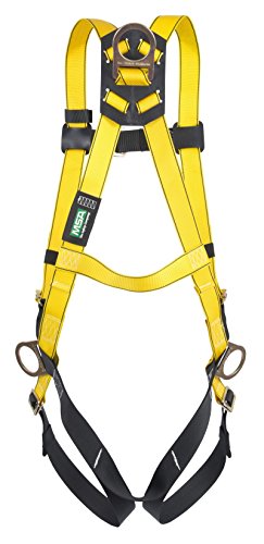 Back & Fall Protection